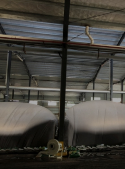 首页-PA真人集团有限公司官网